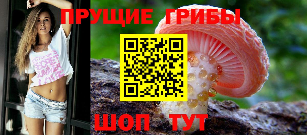 Псилоцибиновые грибы Magic Shrooms Выборг