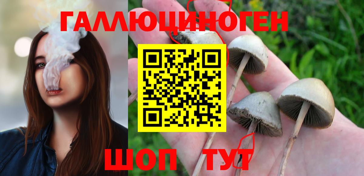 Псилоцибиновые грибы MAGIC MUSHROOMS  Вход с VPN  Выборг  закладки  Галлюциногенные грибы GOLDEN TEACHER 